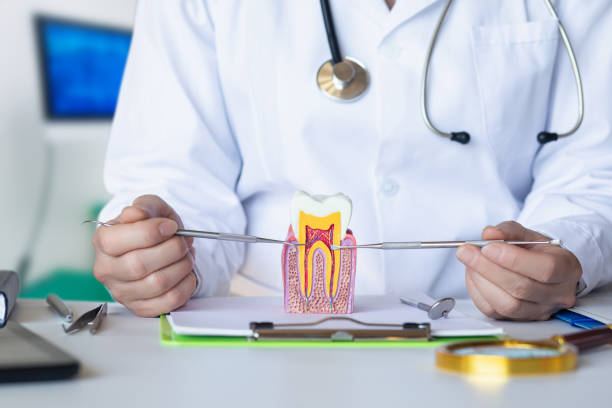 Best Emergency Root Canal Treatment in Meggett, SC